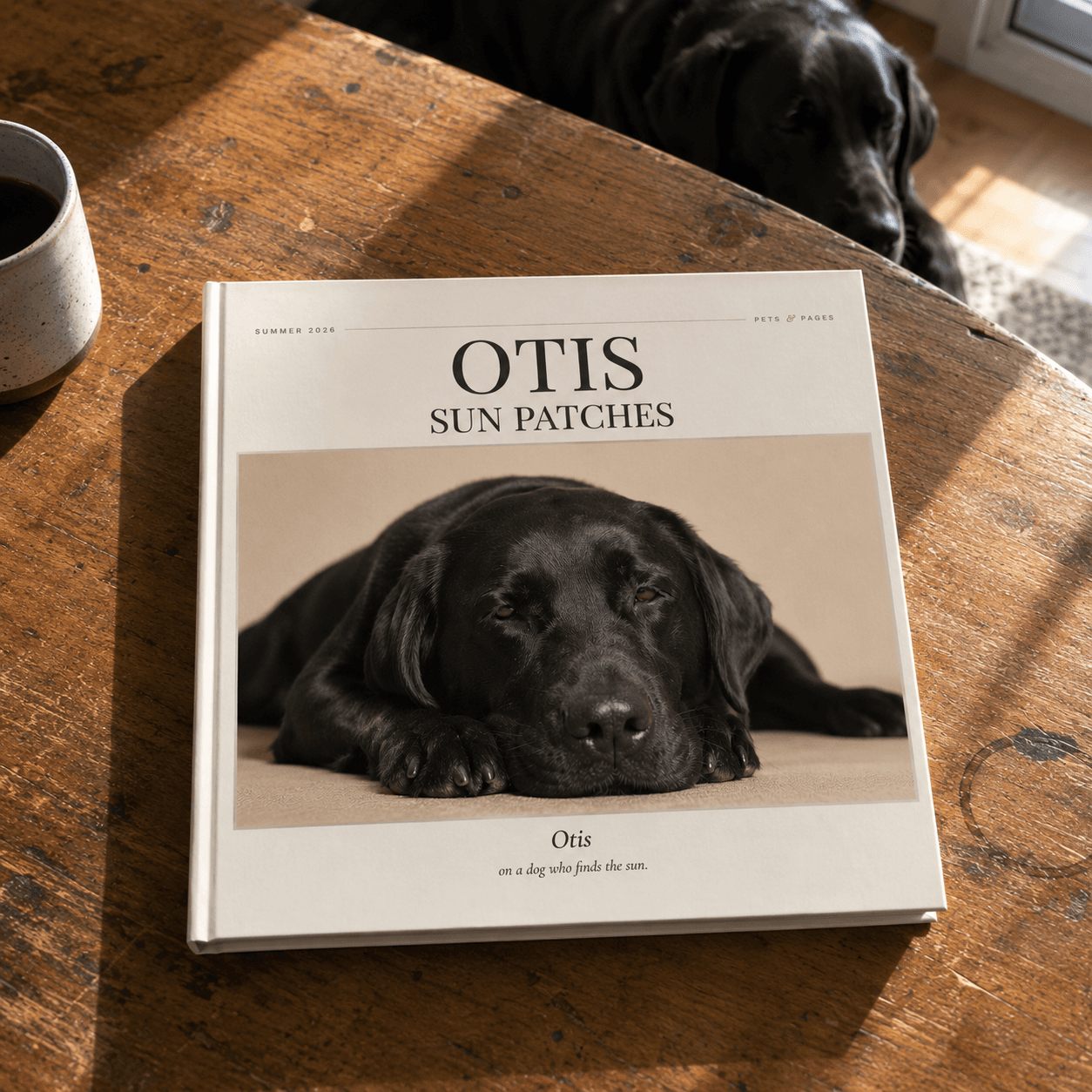 Customer photo of Otis's book